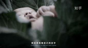 泰国国产最新广告视频,探寻异域风情，感受泰国魅力