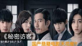 长视频解说电影国产悬疑,揭秘剧情谜团，探寻心理暗流