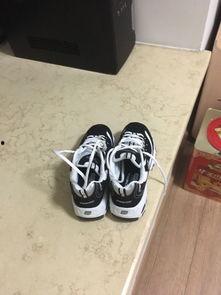 国产熊猫鞋测评视频下载,舒适与时尚的完美融合