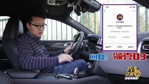 国产车露标被鄙视视频